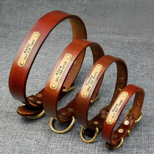 Timeless Elegance: Genuine Leather Personalized ID Collar for Your Beloved Pet