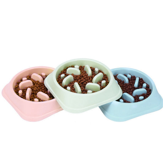 Encourage Healthy Eating Habits: Slow Feeder Bowl for Pets