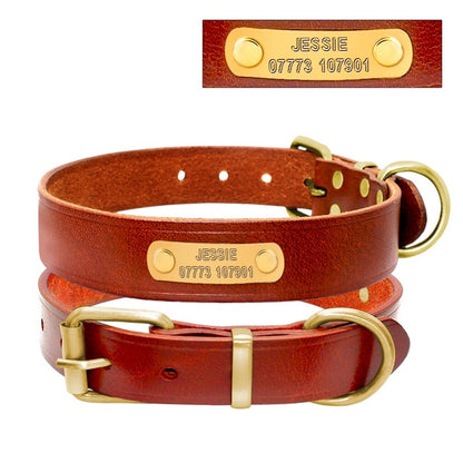 Timeless Elegance: Genuine Leather Personalized ID Collar for Your Beloved Pet