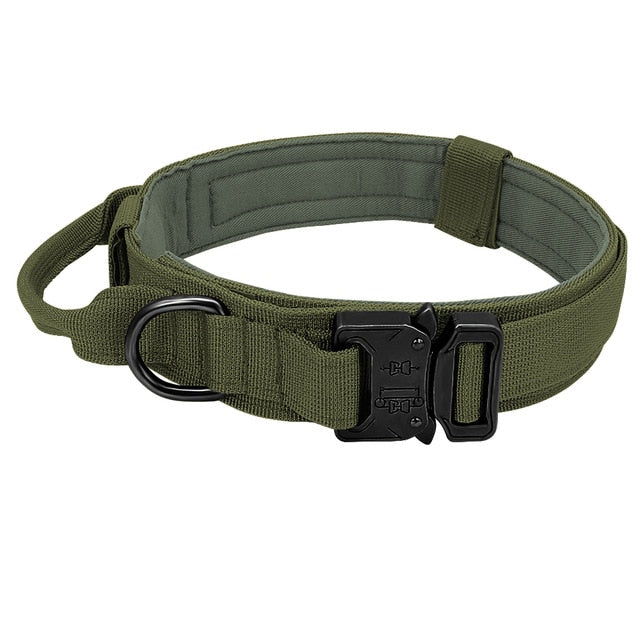 Gear Up for Training and Hunting: Durable Tactical Leash and Collars for Peak Performance!