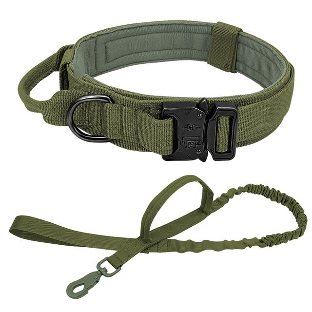 Gear Up for Training and Hunting: Durable Tactical Leash and Collars for Peak Performance!