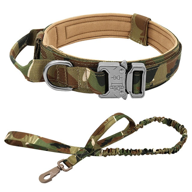 Gear Up for Training and Hunting: Durable Tactical Leash and Collars for Peak Performance!