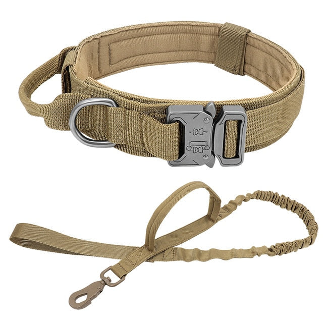 Gear Up for Training and Hunting: Durable Tactical Leash and Collars for Peak Performance!