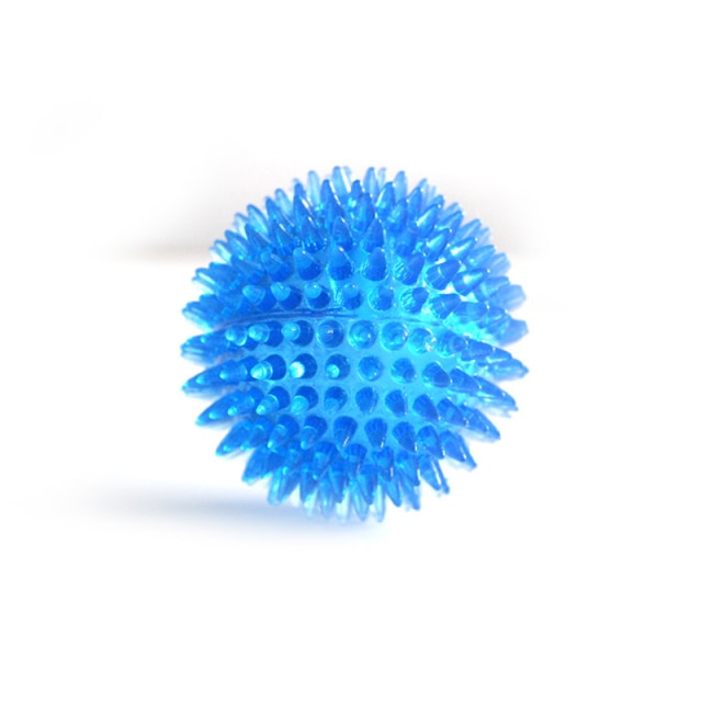 Squeaky Fun and Dental Care Combined: Tooth Cleaning Training Balls for Pets