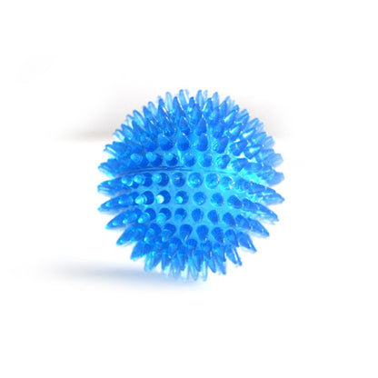 Squeaky Fun and Dental Care Combined: Tooth Cleaning Training Balls for Pets