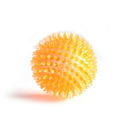 Squeaky Fun and Dental Care Combined: Tooth Cleaning Training Balls for Pets