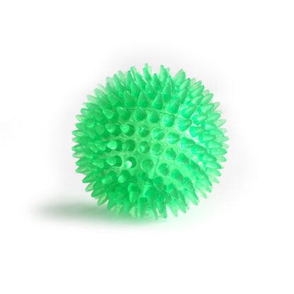 Squeaky Fun and Dental Care Combined: Tooth Cleaning Training Balls for Pets