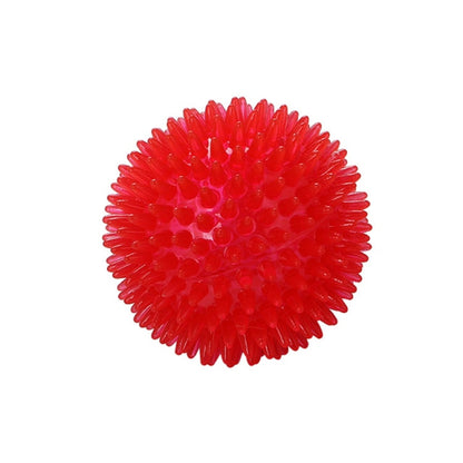 Squeaky Fun and Dental Care Combined: Tooth Cleaning Training Balls for Pets