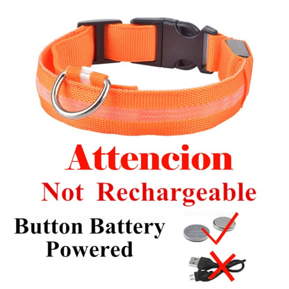 Stay Visible at Night: Pet LED Night Safety Dog Collar for Enhanced Visibility and Safety