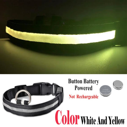 Stay Visible at Night: Pet LED Night Safety Dog Collar for Enhanced Visibility and Safety