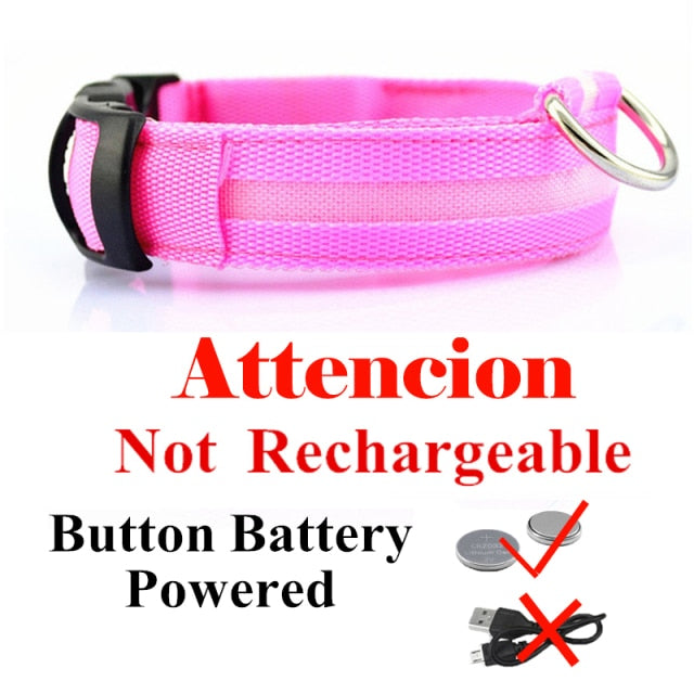 Stay Visible at Night: Pet LED Night Safety Dog Collar for Enhanced Visibility and Safety