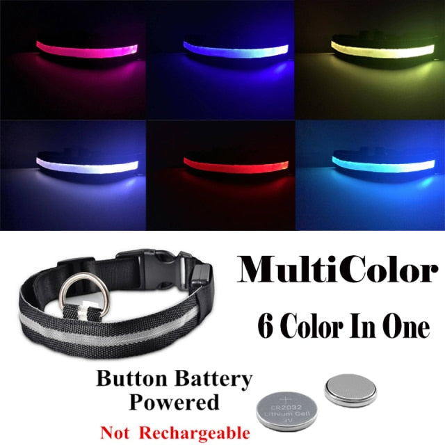 Stay Visible at Night: Pet LED Night Safety Dog Collar for Enhanced Visibility and Safety