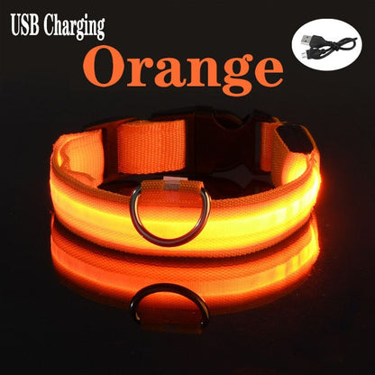 Stay Visible at Night: Pet LED Night Safety Dog Collar for Enhanced Visibility and Safety