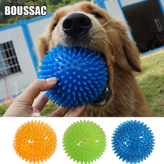 Squeaky Fun and Dental Care Combined: Tooth Cleaning Training Balls for Pets